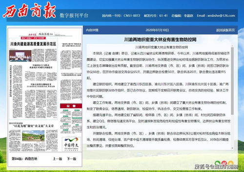 西南商报 川渝两地织密重大林业有害生物防控网